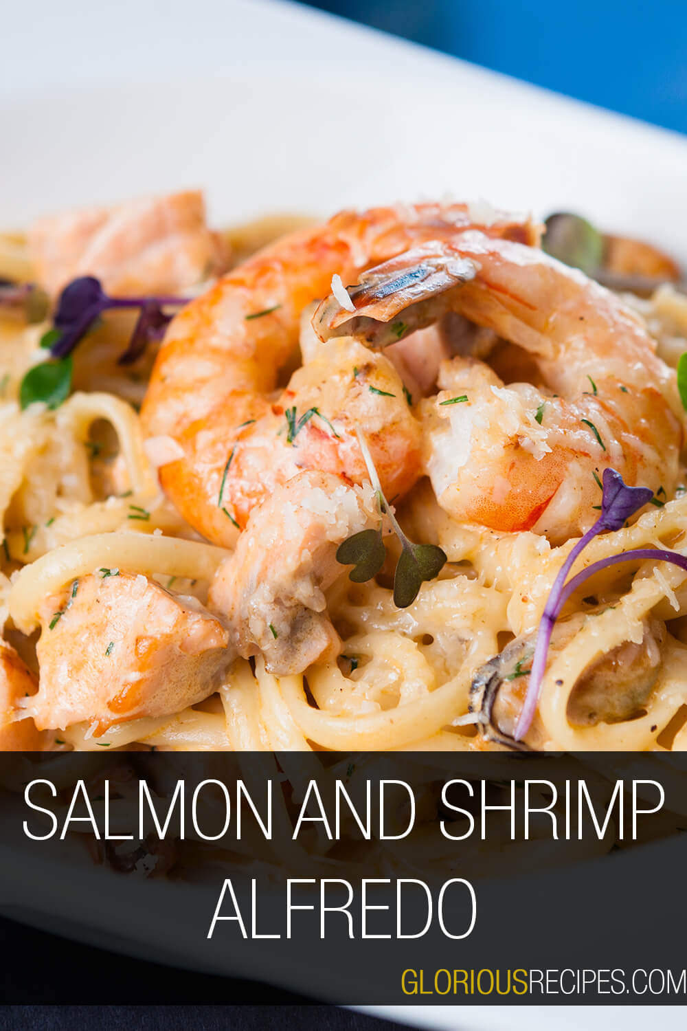 15 Delicious Salmon And Shrimp Recipes