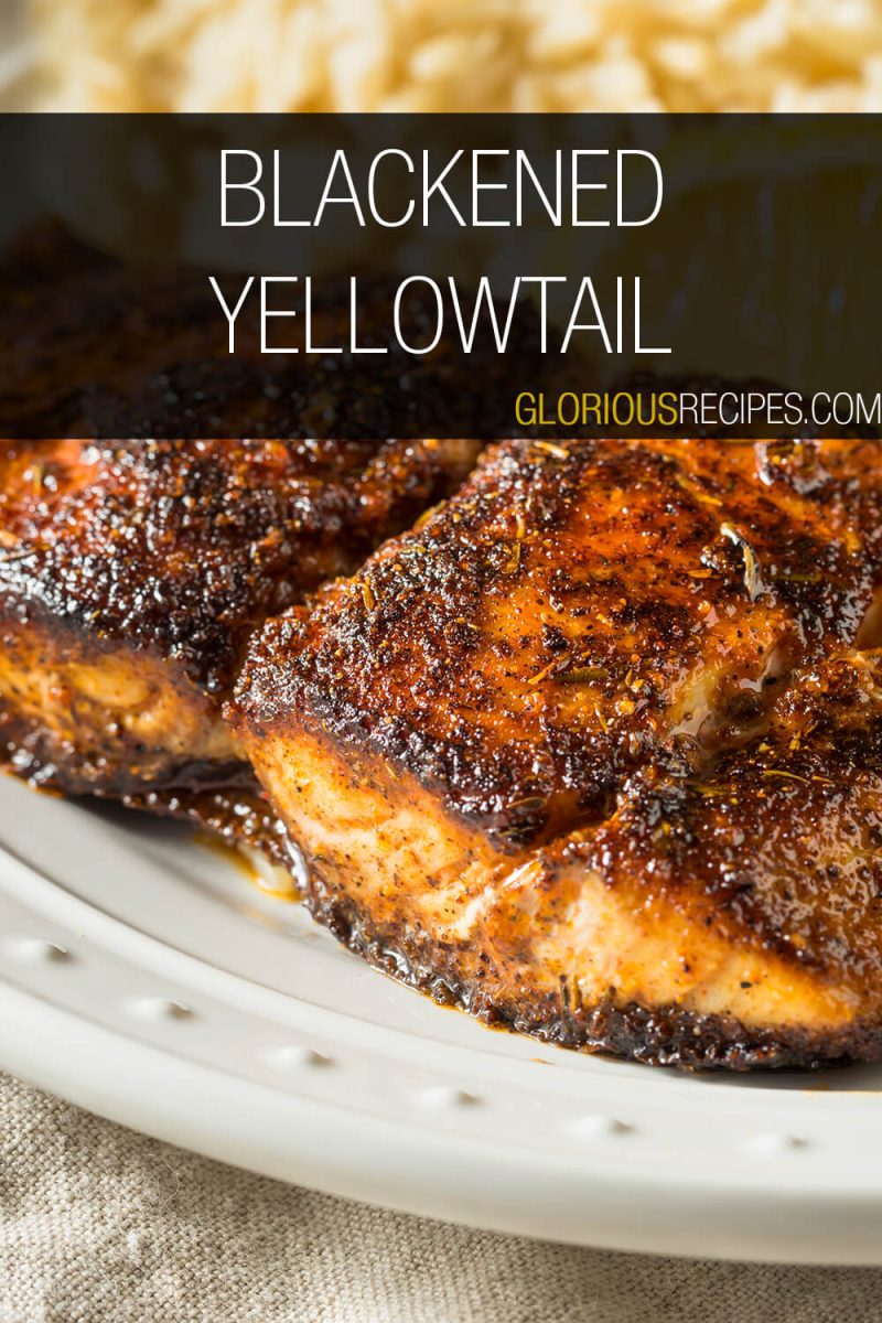 15-best-yellowtail-recipes-to-try