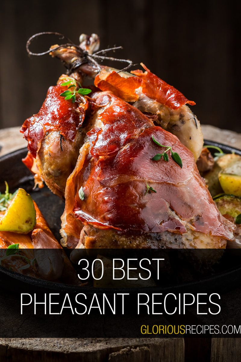 30 Best Pheasant Recipes To Try