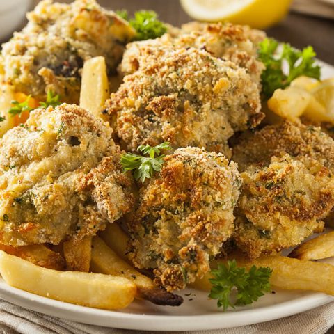 oyster recipes