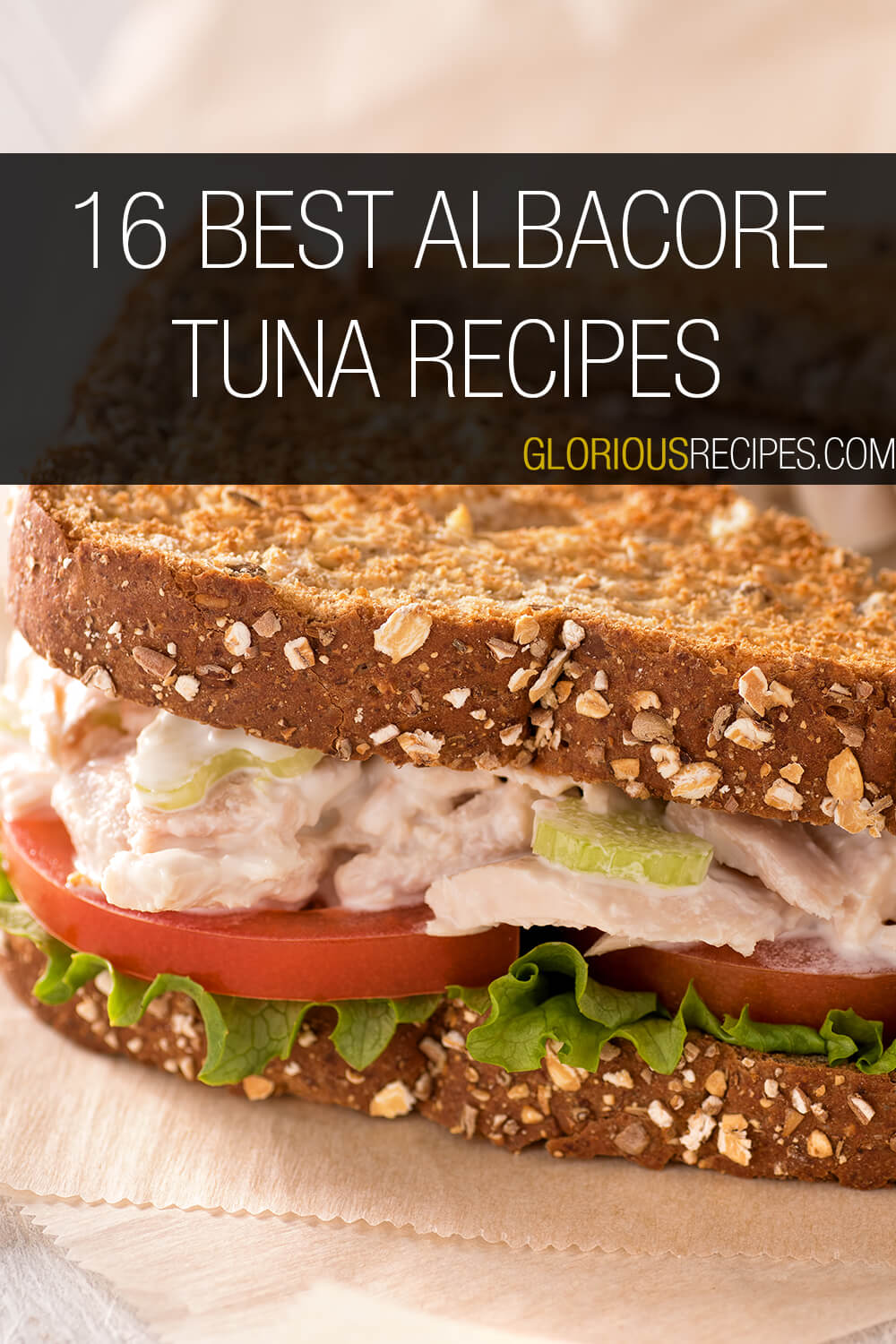 16 Best Albacore Tuna Recipes To Try   Albacore Tuna Recipes 4 