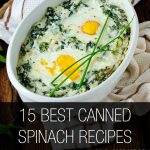 Best Canned Spinach Recipes To Try