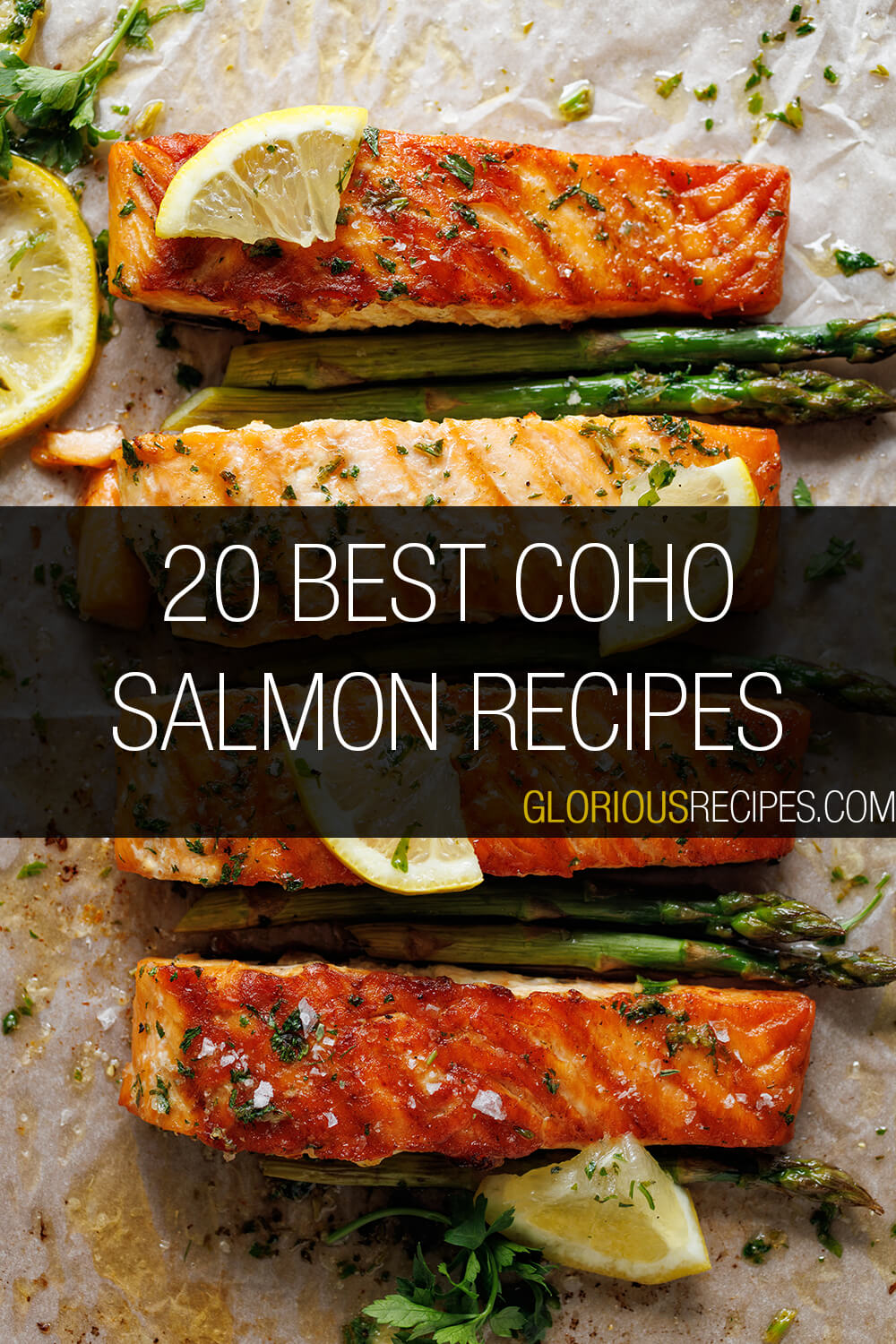 20 Best Coho Salmon Recipes To Try